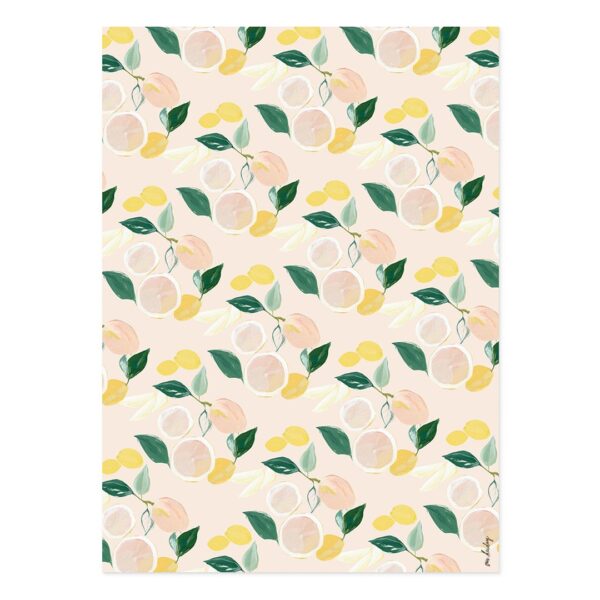 Citrus Wrapping Paper Set of 2