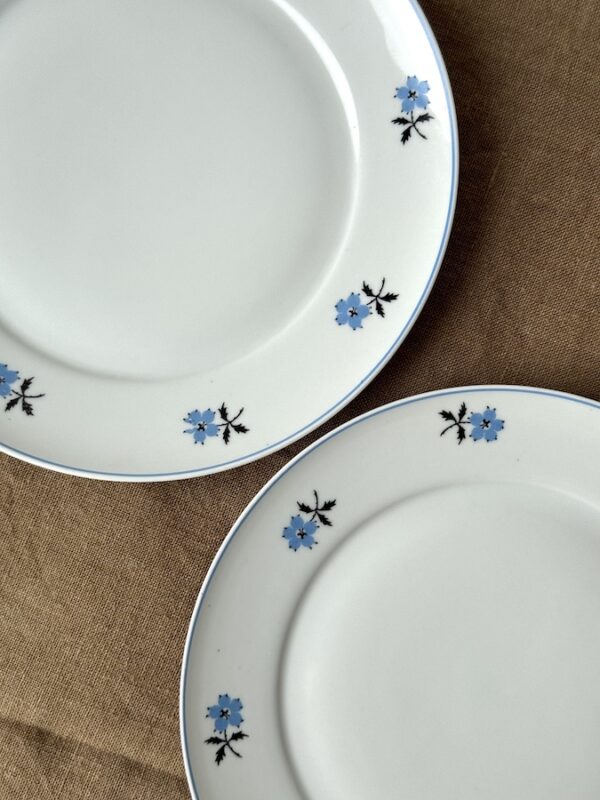 Vintage Langenthal Blue Flowers Dessert Plate