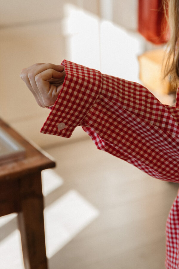 Zoe Red Gingham Classic Shirt