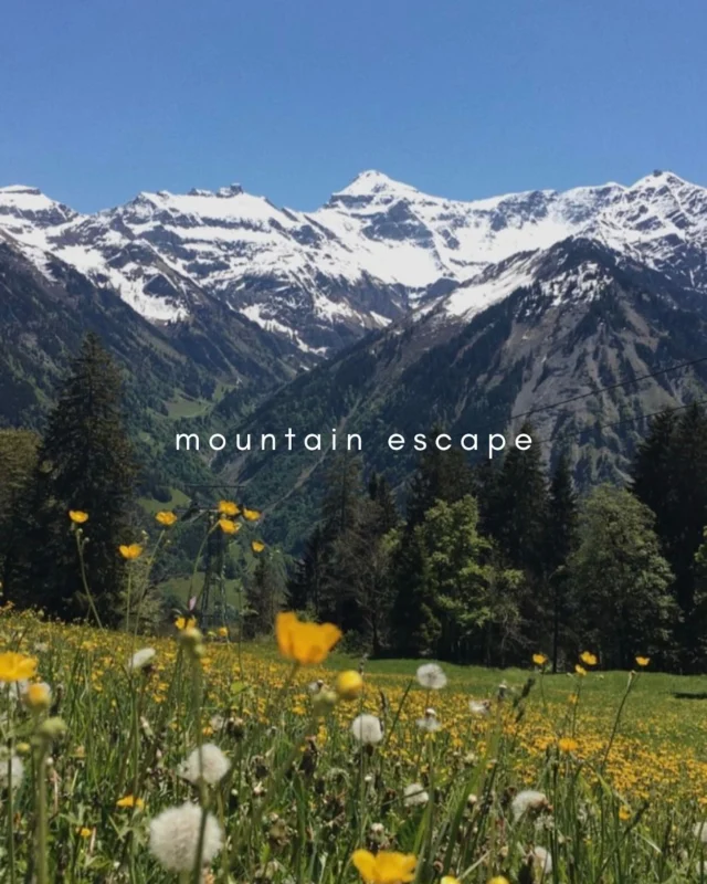 Dear friends, 
for the month of July we are escaping the heat and traveling to the mountains with the family 🏔️ 
We are going to have a slower delivery time so please just keep that in mind when ordering in July 🤗
We can still ship tomorrow, on Monday, your today’s orders 🚀
and we would like to gift you a free shipping on all orders, big or small 🫶🏻
(check the coupon on the homepage)
Wish you all a beautiful summer Sunday ☀️
